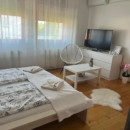 Apartment Rege 2