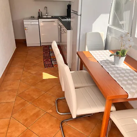 Apartment Rege 2